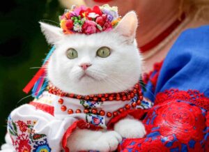 Исследование генома выявило важную веху в истории одомашнивания кошек